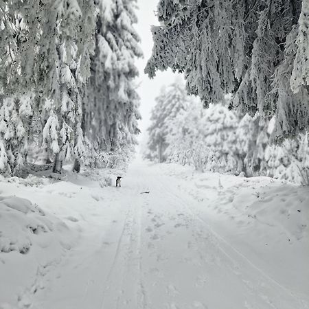 Chata Jeleni Drevenice S Vlastni Virivkou Horni Halze Εξωτερικό φωτογραφία